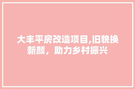 大丰平房改造项目,旧貌换新颜，助力乡村振兴 地面装修