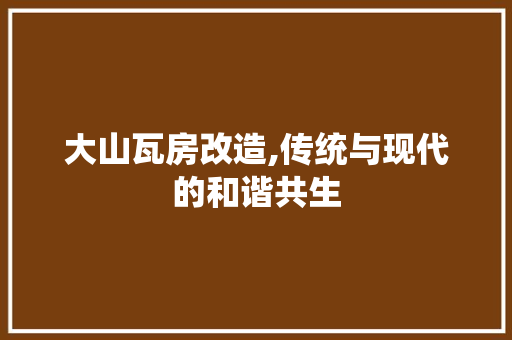大山瓦房改造,传统与现代的和谐共生