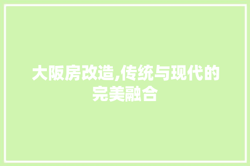 大阪房改造,传统与现代的完美融合 建筑设计