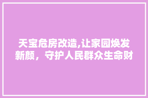 天宝危房改造,让家园焕发新颜，守护人民群众生命财产安全 装修材料