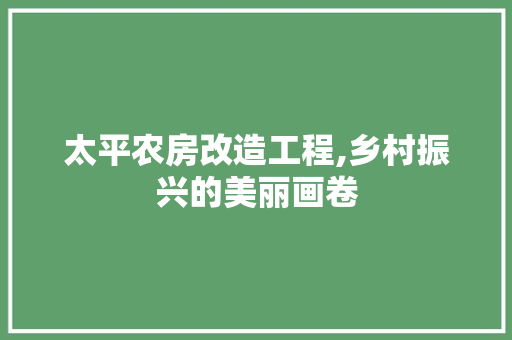太平农房改造工程,乡村振兴的美丽画卷 景观设计