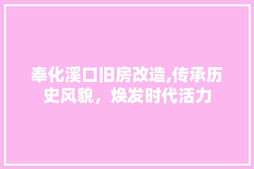奉化溪口旧房改造,传承历史风貌，焕发时代活力 建筑设计