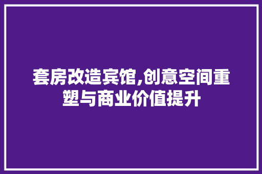 套房改造宾馆,创意空间重塑与商业价值提升