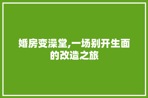 婚房变澡堂,一场别开生面的改造之旅