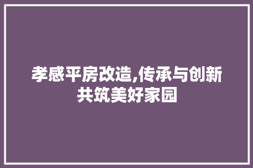 孝感平房改造,传承与创新共筑美好家园 装修材料