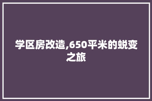 学区房改造,650平米的蜕变之旅 地面装修