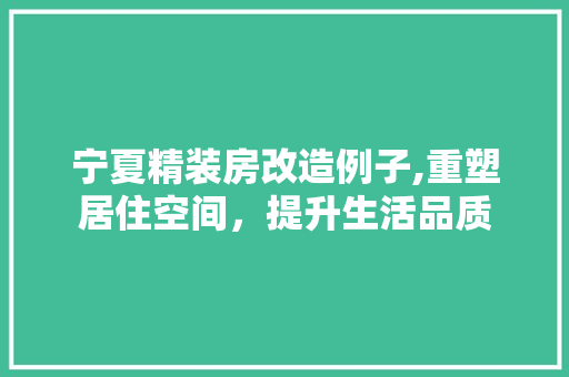 宁夏精装房改造例子,重塑居住空间，提升生活品质