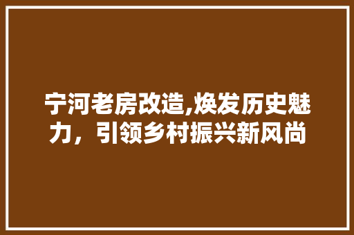 宁河老房改造,焕发历史魅力，引领乡村振兴新风尚 庭院装修