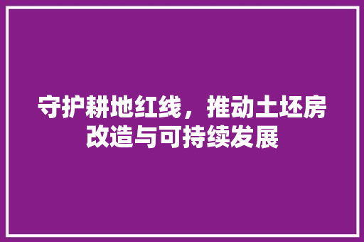 守护耕地红线，推动土坯房改造与可持续发展