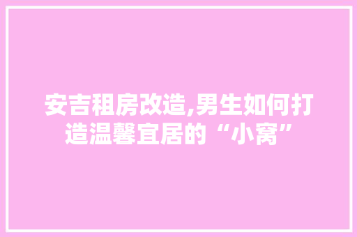 安吉租房改造,男生如何打造温馨宜居的“小窝”