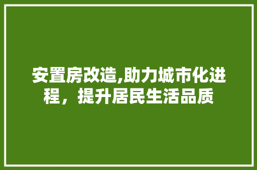 安置房改造,助力城市化进程，提升居民生活品质