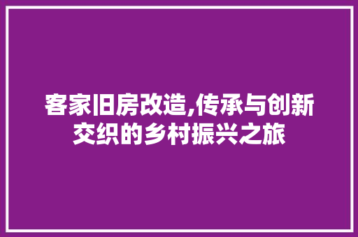 客家旧房改造,传承与创新交织的乡村振兴之旅