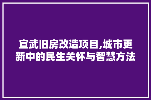 宣武旧房改造项目,城市更新中的民生关怀与智慧方法