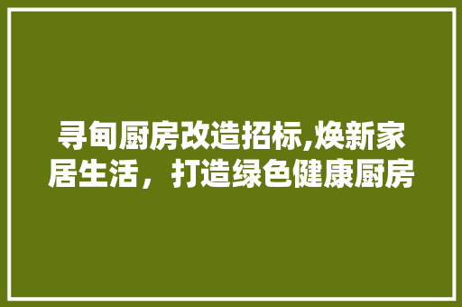 寻甸厨房改造招标,焕新家居生活，打造绿色健康厨房