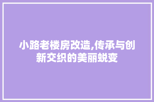 小路老楼房改造,传承与创新交织的美丽蜕变
