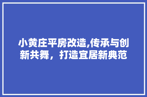 小黄庄平房改造,传承与创新共舞，打造宜居新典范 装修材料