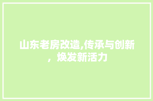 山东老房改造,传承与创新，焕发新活力 门窗装修