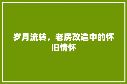 岁月流转，老房改造中的怀旧情怀 建筑设计