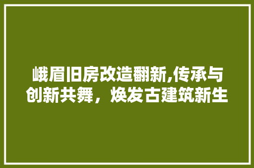 峨眉旧房改造翻新,传承与创新共舞，焕发古建筑新生命