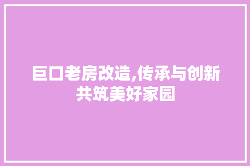 巨口老房改造,传承与创新共筑美好家园 建筑设计