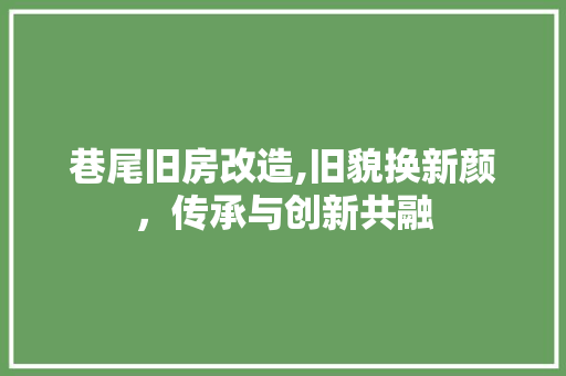 巷尾旧房改造,旧貌换新颜，传承与创新共融 墙面装饰