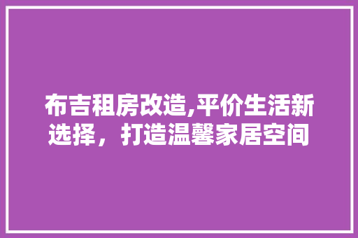布吉租房改造,平价生活新选择，打造温馨家居空间