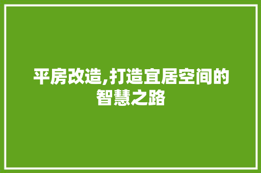 平房改造,打造宜居空间的智慧之路 隔断设计 平房改造,打造宜居空间的智慧之路 隔断设计