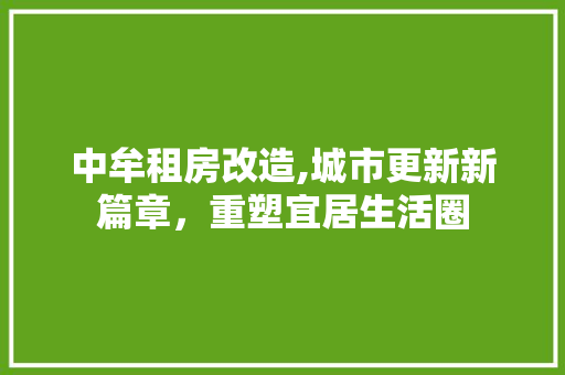中牟租房改造,城市更新新篇章，重塑宜居生活圈