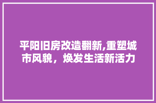 平阳旧房改造翻新,重塑城市风貌，焕发生活新活力
