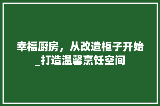 幸福厨房，从改造柜子开始_打造温馨烹饪空间