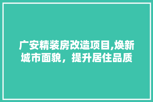 广安精装房改造项目,焕新城市面貌，提升居住品质
