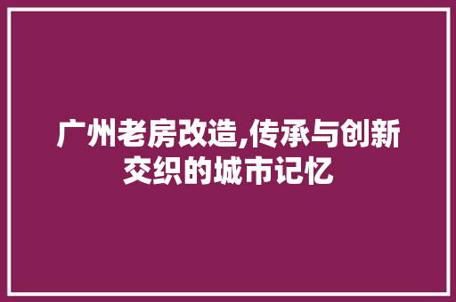 广州老房改造,传承与创新交织的城市记忆 庭院装修