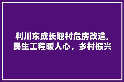 利川东成长堰村危房改造,民生工程暖人心，乡村振兴谱新篇