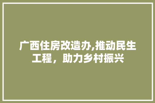 广西住房改造办,推动民生工程，助力乡村振兴 建筑设计