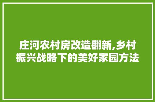 庄河农村房改造翻新,乡村振兴战略下的美好家园方法