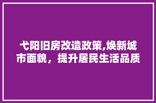 弋阳旧房改造政策,焕新城市面貌，提升居民生活品质