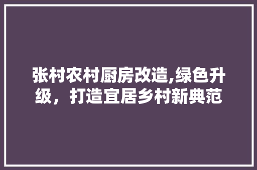 张村农村厨房改造,绿色升级，打造宜居乡村新典范