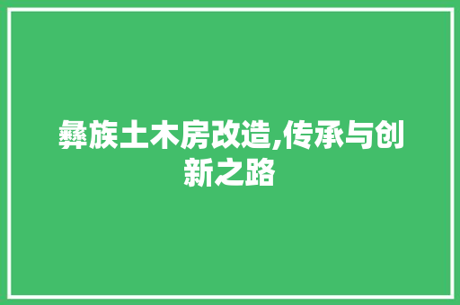 彝族土木房改造,传承与创新之路 墙面装饰