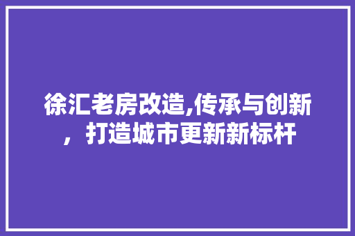 徐汇老房改造,传承与创新，打造城市更新新标杆 地面装修