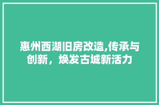 惠州西湖旧房改造,传承与创新，焕发古城新活力 墙面装饰
