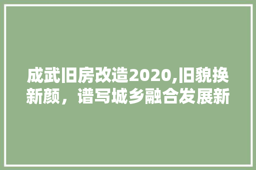 成武旧房改造2020,旧貌换新颜，谱写城乡融合发展新篇章