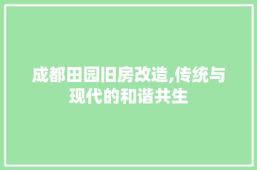 成都田园旧房改造,传统与现代的和谐共生 地面装修
