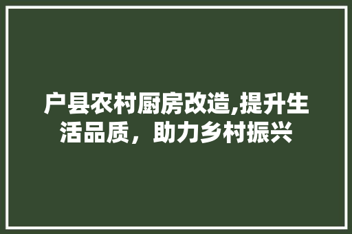 户县农村厨房改造,提升生活品质，助力乡村振兴