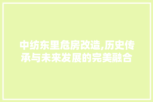 中纺东里危房改造,历史传承与未来发展的完美融合
