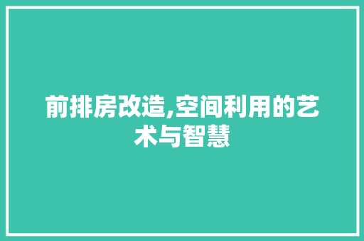 前排房改造,空间利用的艺术与智慧