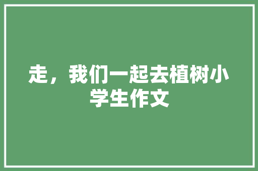 打造温馨家居，从定制沙发盖布开始