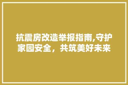 抗震房改造举报指南,守护家园安全，共筑美好未来