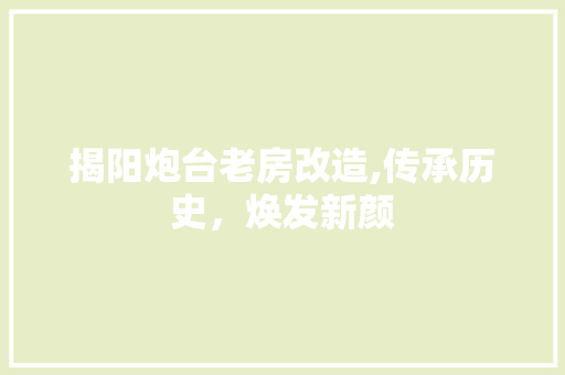 揭阳炮台老房改造,传承历史，焕发新颜