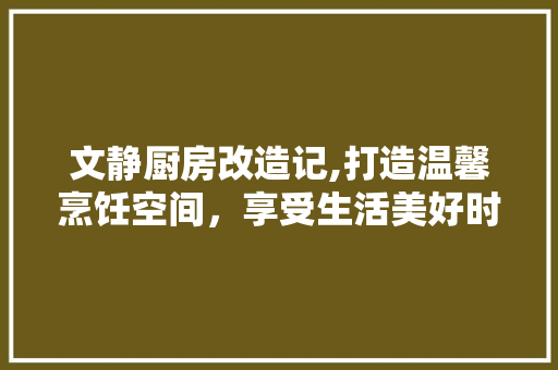 文静厨房改造记,打造温馨烹饪空间，享受生活美好时光