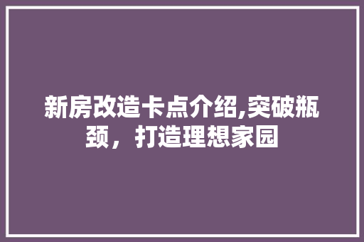 新房改造卡点介绍,突破瓶颈，打造理想家园